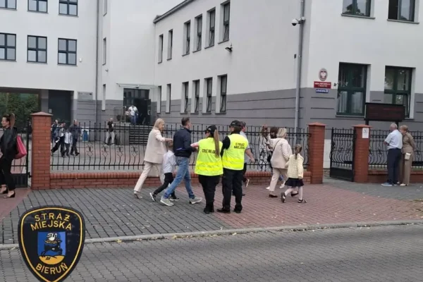 Znalazł się pies w typie charta przy Szkole Podstawowej nr 1 – szukamy właściciela