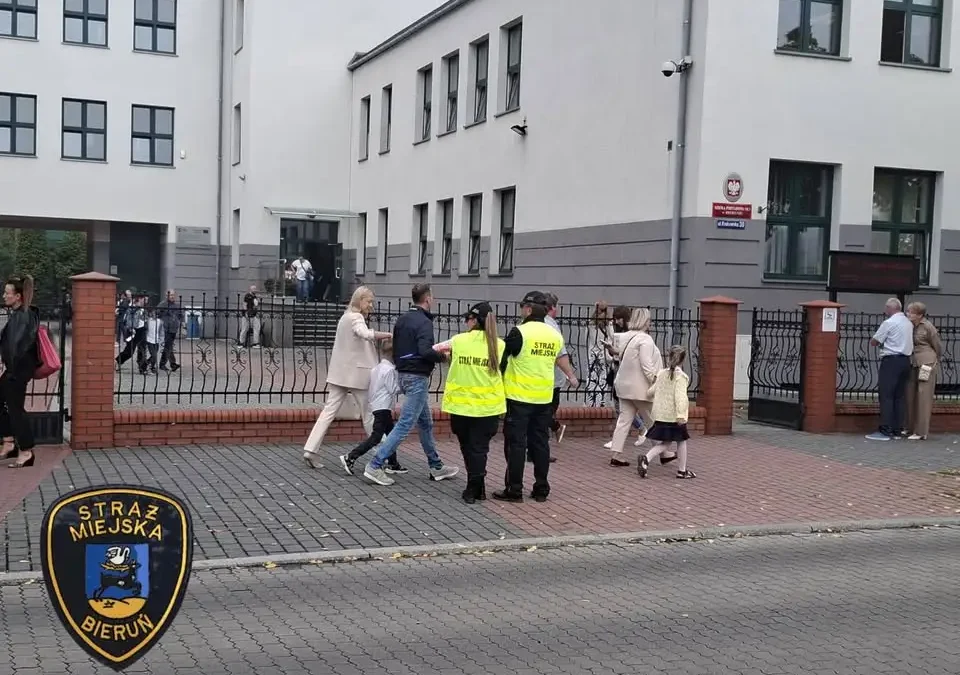 Znalazł się pies w typie charta przy Szkole Podstawowej nr 1 – szukamy właściciela