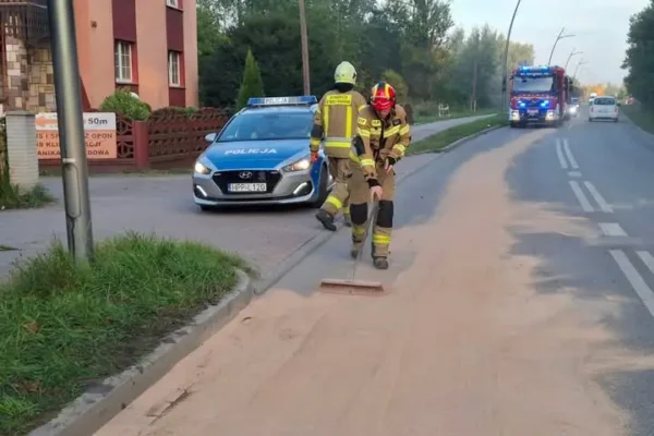 Lędziny: auto zderzyło się z dziką zwierzyną na ul. Gwarków