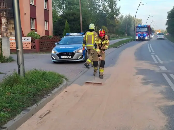 Lędziny: auto zderzyło się z dziką zwierzyną na ul. Gwarków