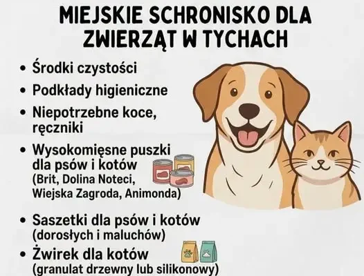 Szkoła w Bieruniu organizuje zbiórkę dla schroniska w Tychach