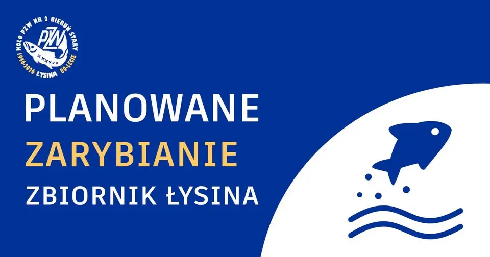 Zarybienie zbiornika Łysina – zaplanowano na 15 października
