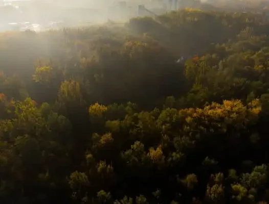 Lędziny: park przejdzie metamorfozę. Miasto obala mity o wycince i kredytach