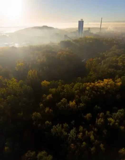 Lędziny: park przejdzie metamorfozę. Miasto obala mity o wycince i kredytach